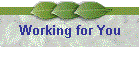 Working for You
